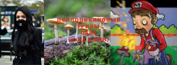 ALPHA-PVP Аркадак